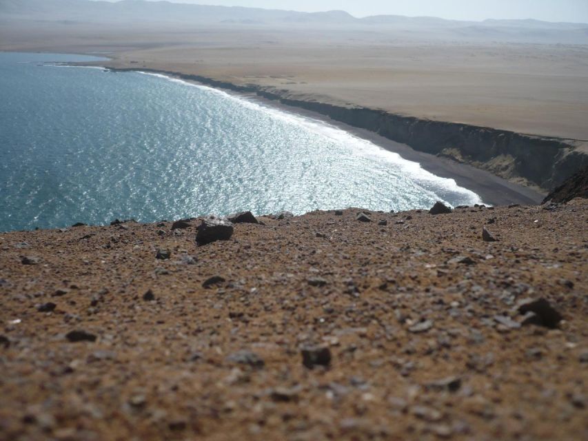 From Paracas: Private Tours Paracas National Reserve - Marine Reserve Ecological Importance