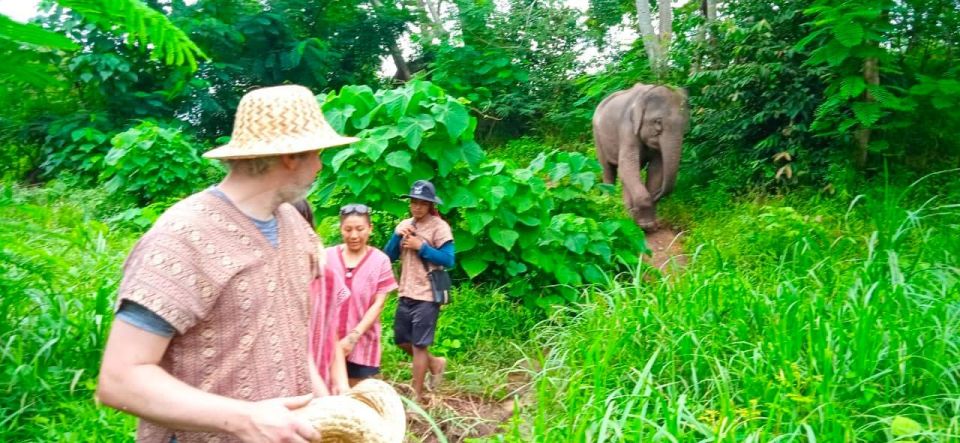 From Phuket: Ethical Elephant Interactive Trek and Tour - Genuine Customer Reviews