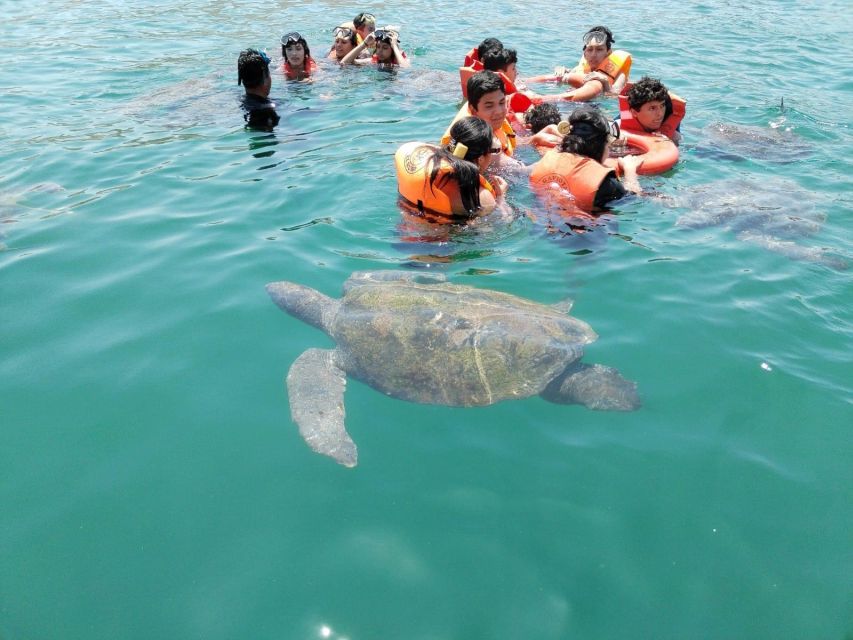 From Piura Excursion to Mancora Swimming With Turtles - Common questions