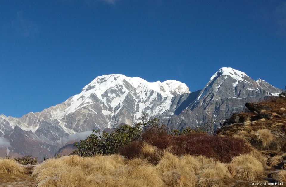 From Pokhara: 7-Day Mardi Himal Base Camp Trek - Trek Difficulty and Itinerary Details