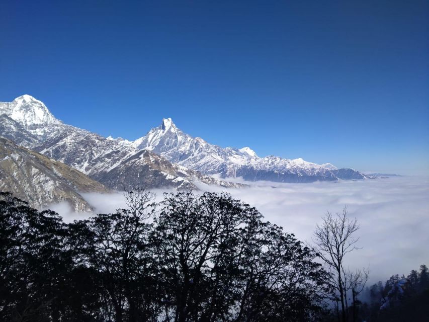 From Pokhara: 7 Days Khopra Hill Trek - Season and Pricing Information