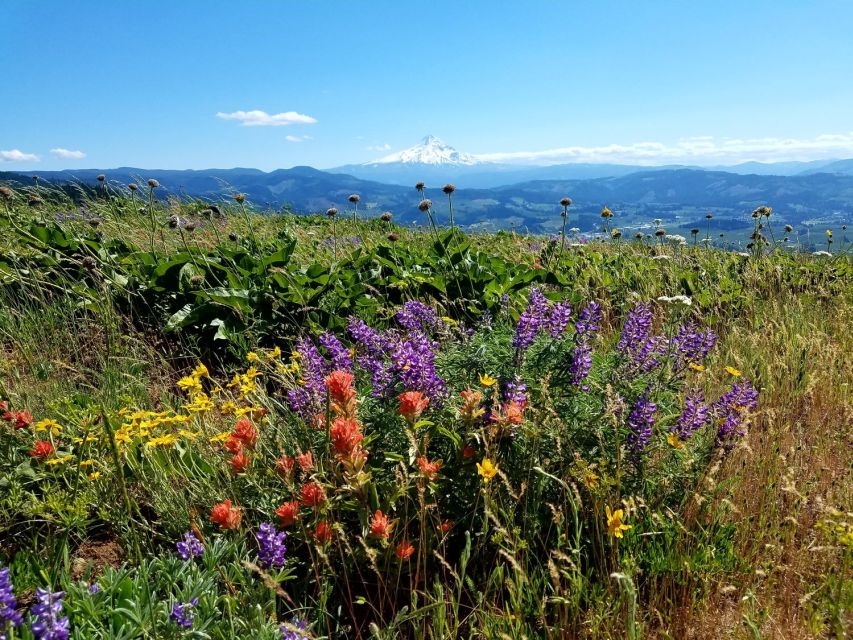 From Portland: Full Day Gorge Waterfalls & Mt. Hood Tour - Cultural Exploration