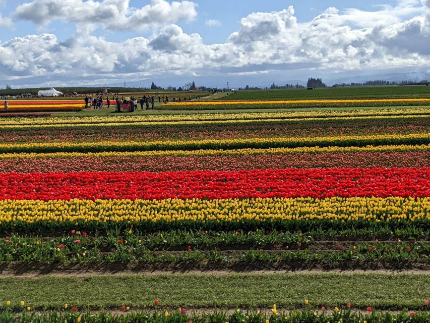 From Portland: Wooden Shoe Tulip Farm Festival Entry Ticket - Directions