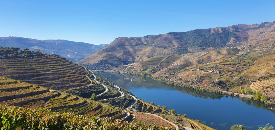 From Porto Douro Valley Tour Wine Tasting River Cruise Lunch - Traditional Lunch and Wine Tasting