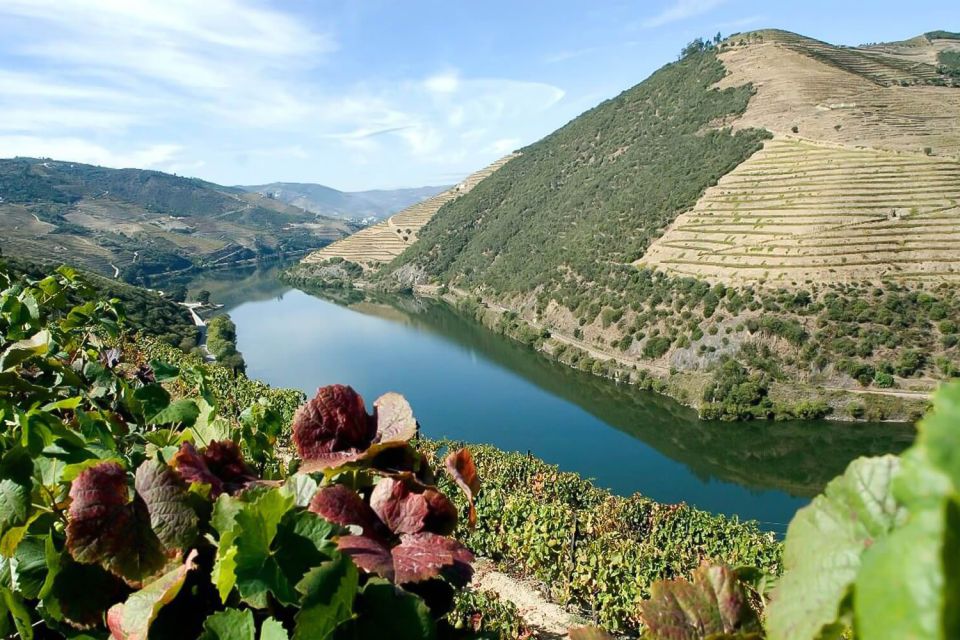 From Porto: Pinhão and Douro Valley Scenic Boat Tour - Tour Highlights