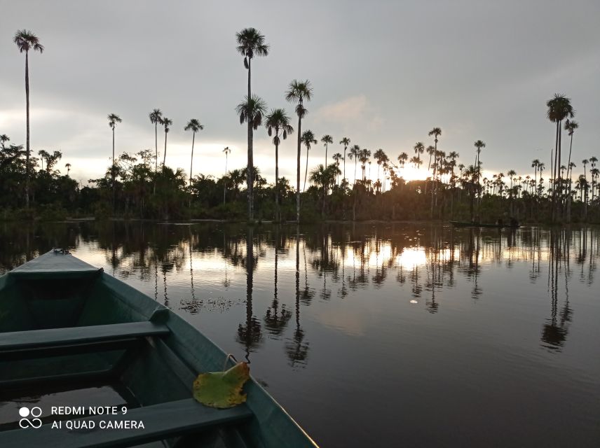 From Puerto Maldonado: 4-Day Excursion /wildlifesearch - Booking Information