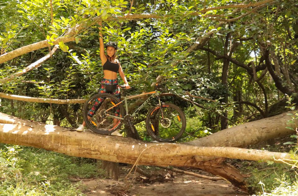 From Puerto Vallarta: Jungle Mountain Bike Tour - Additional Information