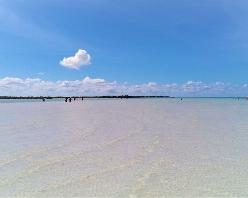 From Riviera Maya: Holbox Full-Day Tour With Lunch - Customer Feedback and Reviews