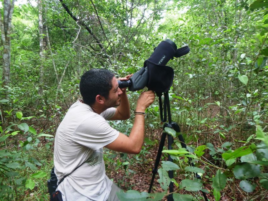 From Riviera Maya : Sian Ka'an Muyil Birdwatching With Guide - Final Thoughts