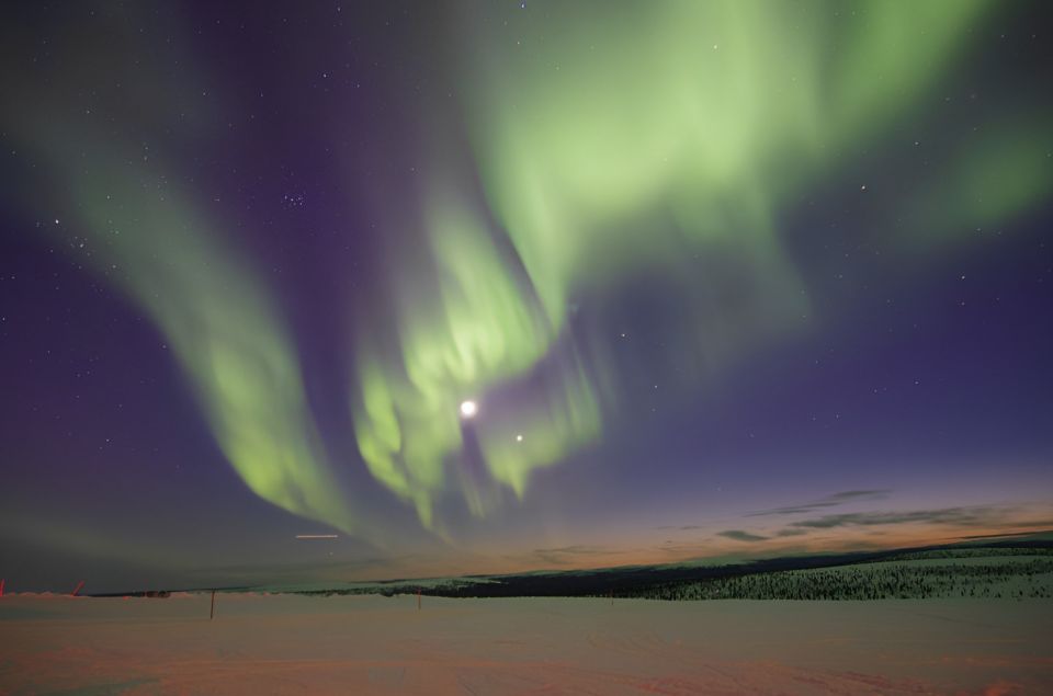 From Rovaniemi: Aurora Dreamscape Tour in the Wild - Customer Reviews