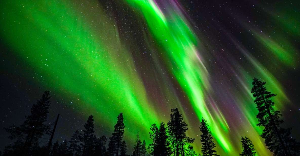 From Rovaniemi: Family-Friendly Northern Lights Tour - Free Cancellation Policy