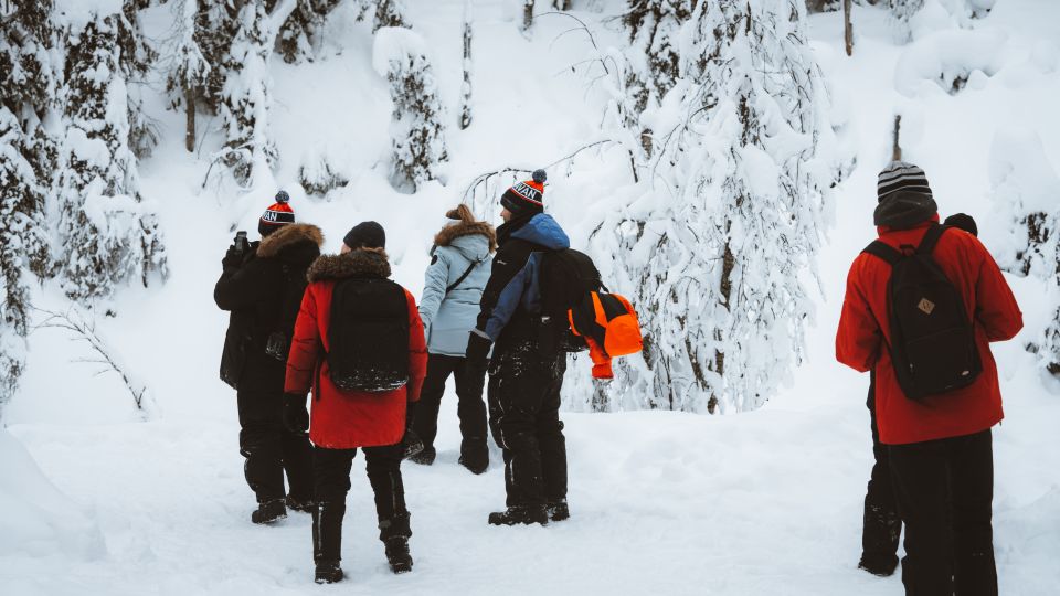 From Rovaniemi: Korouoma Canyon & Frozen Waterfalls Tour - Common questions