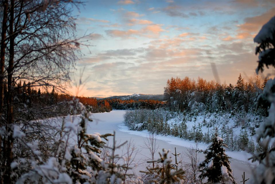 From Rovaniemi: Vikaköngäs Forest Hiking Tour With BBQ - Location Details