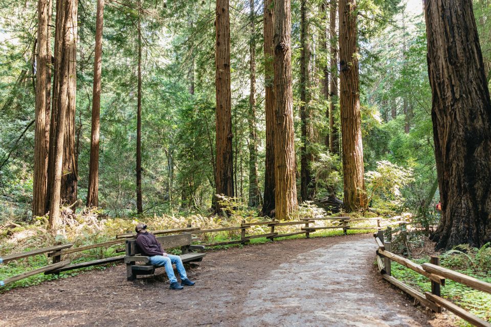 From San Francisco: Muir Woods National Monument Guided Tour - Tour Departure and Timing