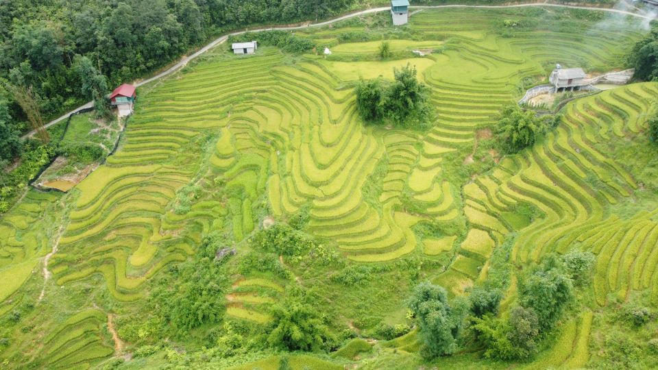 From Sapa: Terrace Fields and Local Villages Trek With Lunch - Booking Information