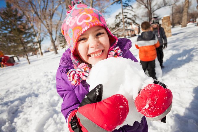 From Seoul: Winter Nami Island Guided Tour With Snow Sliding - Last Words