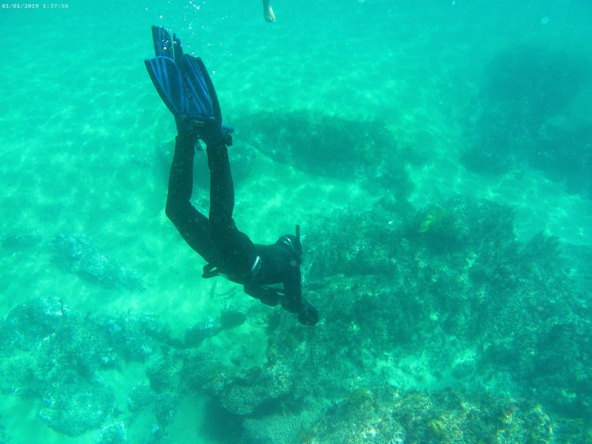 From Sesimbra: Exclusive!!! Sea Scooter Snorkeling Boat Tour - Difficulty Level and Safety Measures