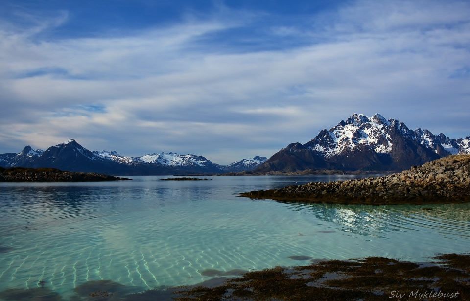 From Svolvær: RIB Sea Eagle Safari Trollfjord Cruise - Additional Information