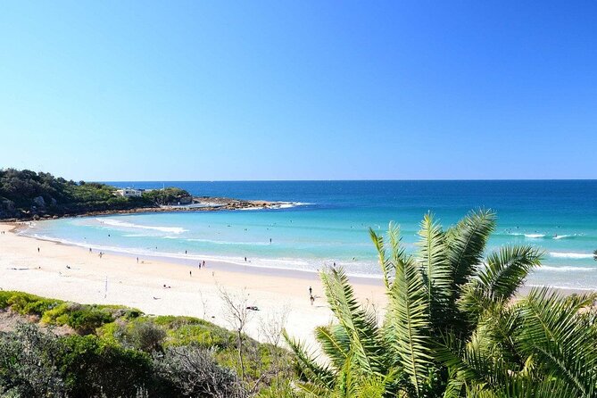 From Sydney: Full Day Tour of Golden Beaches and Ocean Vistas - Lunch and Refreshment Break