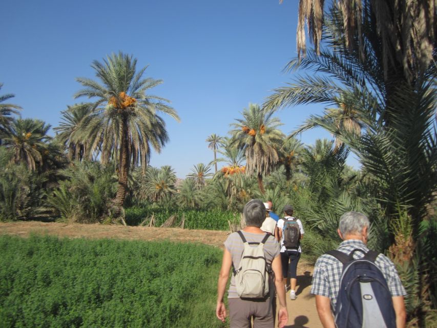 From Taghazout/Agadir: Taroudant and Tiout Day Trip & Tajine - Pickup Information