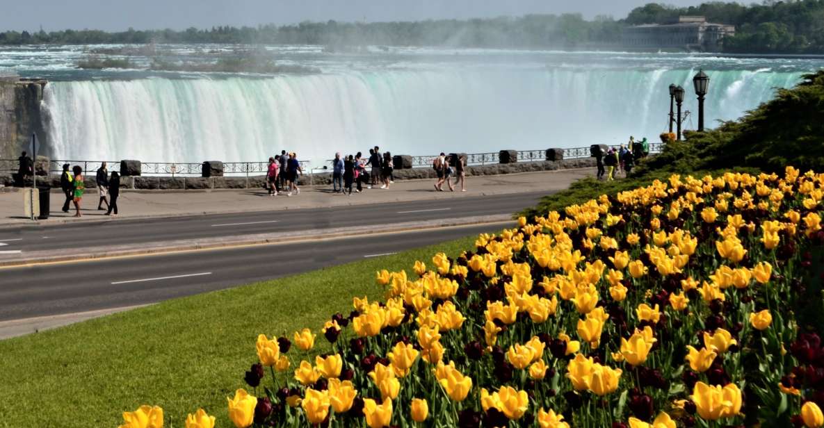 From Toronto: Niagara Falls Day Trip - Rating and Feedback