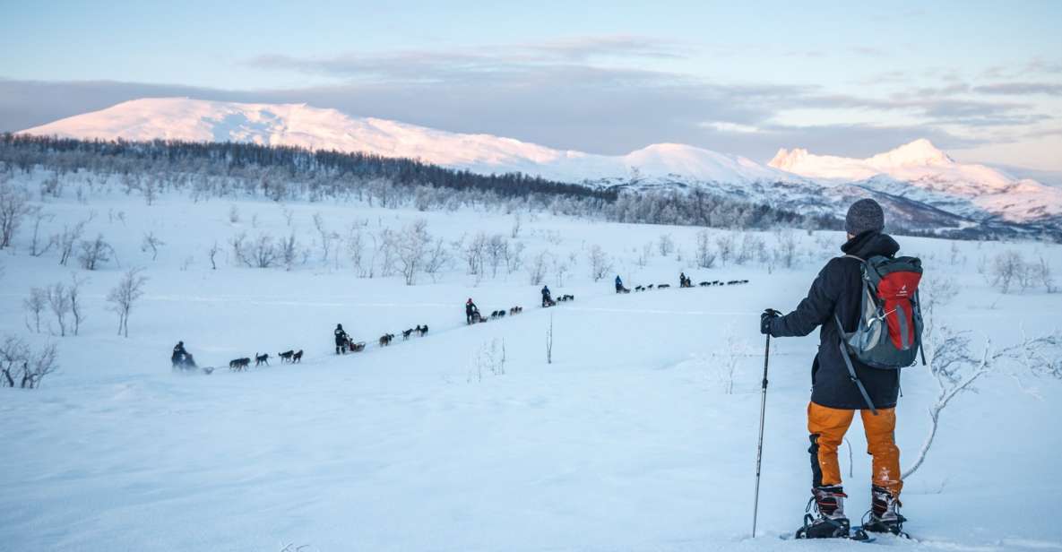 From Tromsø: Guided Husky Snowshoe Hike and Husky Camp Visit - Booking and Cancellation Policy