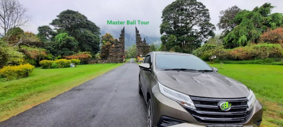 From Ubud: Departure Transfer to Bali Airport - Customer Experience