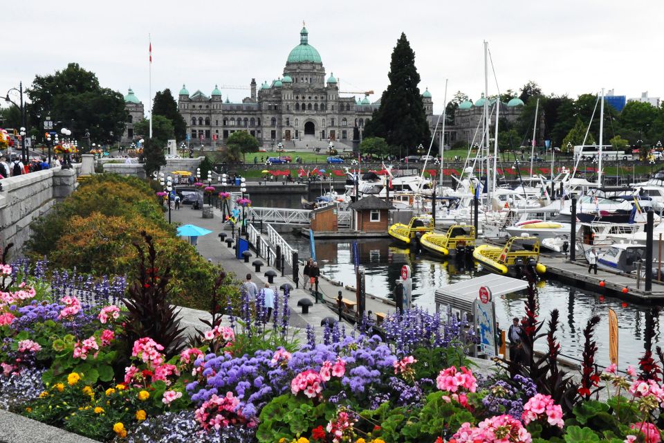 From Vancouver: Whale Watching and Victoria Trip by Seaplane - Review Summary
