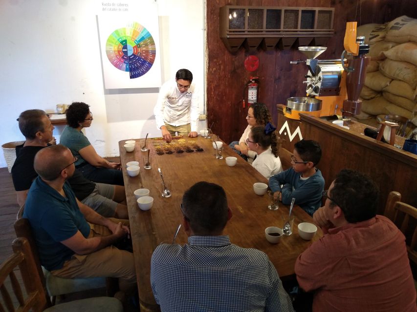 From Veracruz: Xalapa Guided Tour With Coffee Museum Visit - Common questions