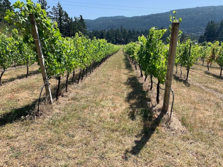 From Victoria: Private Cowichan Wine Tour With Lunch - Full Description