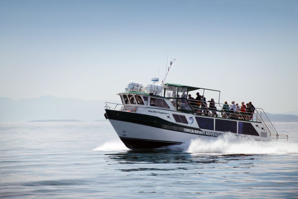 From Victoria: Whale Watching 3-Hour Trip on Covered Boat - Booking Information