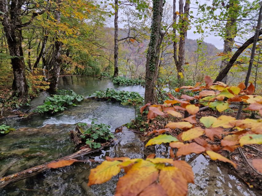 From Zadar: Plitvice Lakes Day Tour With Boat Ride - Preparation Tips for Plitvice Lakes Tour