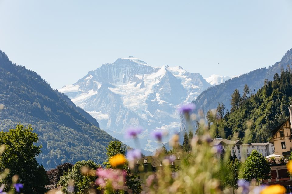 From Zurich: Guided Day Trip to Jungfraujoch With Train Ride - Additional Information and Details