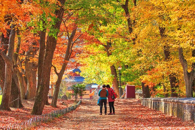 Full-Day Autumn Tour From Busan to Unmunsa Bhikkhuni Temple - Booking Information