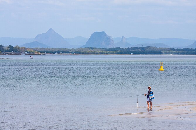 Full Day Birdlife Tour in Bribie Island - How to Book