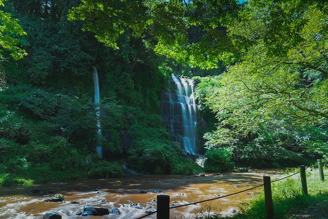 Full-Day Bus Tour on Local Area in Mt. Fuji - Pricing and Terms