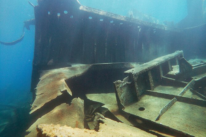Full-Day Byron Shipwreck Dive for Certified Divers With Lunch - Lunch Arrangements