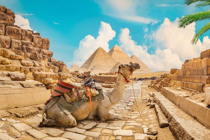 Full Day Cairo Guided Tour Pyramids and Museum, Lunch - Hurghada - Return Journey to Hurghada