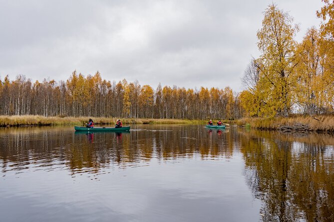 Full Day Canoe Adventure in Lapland - Wildlife Encounters