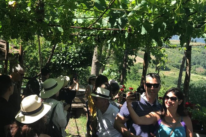 Full-Day Chianti Tour by Vespa Scooter From San Gimignano - Common questions