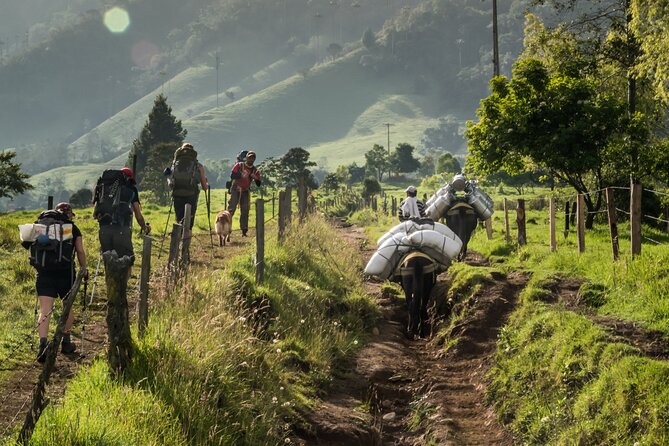 Full Day Climbing the Cocora Valley With Lunch - Last Words