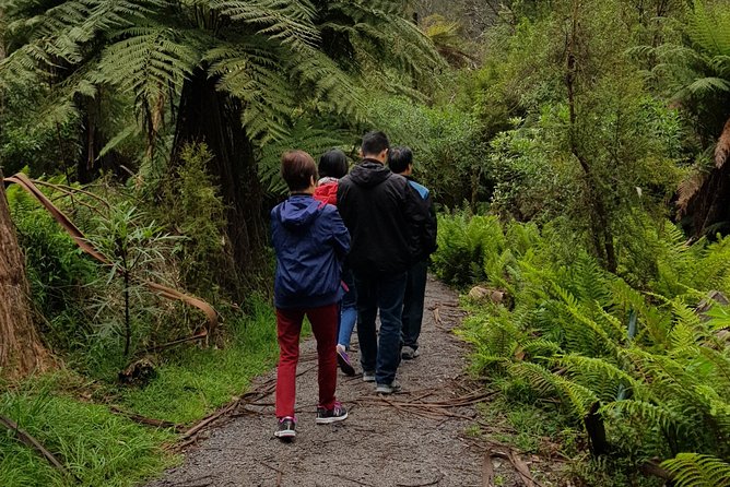 Full-Day Dandenong Ranges Tour With Pickup From Melbourne - Common questions