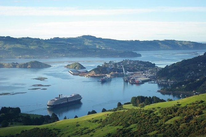 Full-Day Dunedin Tour From Cruise Port  - Port Chalmers - Last Words