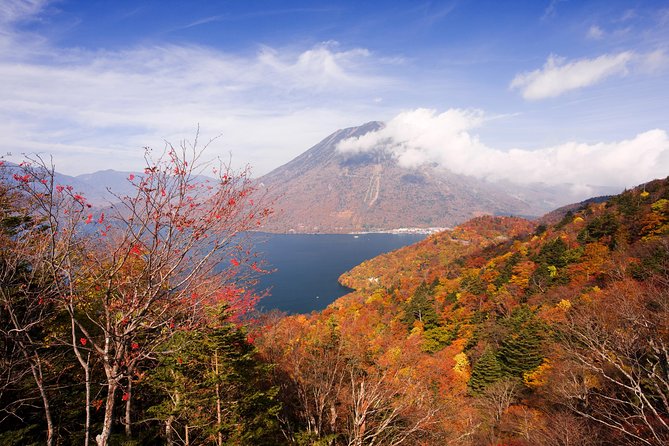 Full Day Enjoy Nature Nikko To-And-From Tochigi Pre. up to 12 - Travel Tips and Guidelines