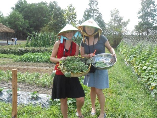 Full-Day Farming & Cooking Class at Agricultural Village - Review Summary