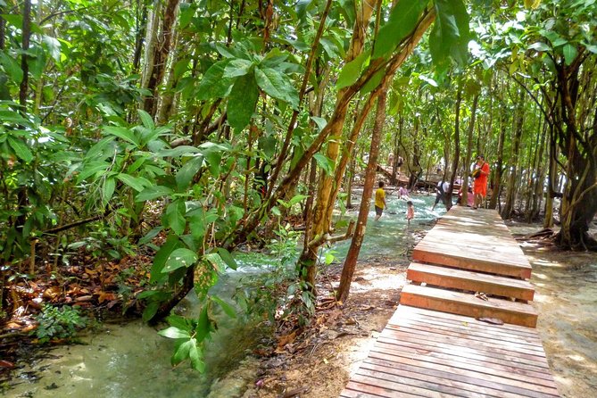 Full-Day Jungle Tour Including Tiger Cave Temple, Crystal Pool and Krabi Hot Springs - Overall Satisfaction and Recommendations