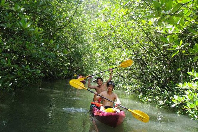 Full Day Kayaking at Ao Thalane Krabi - Additional Information and Pricing