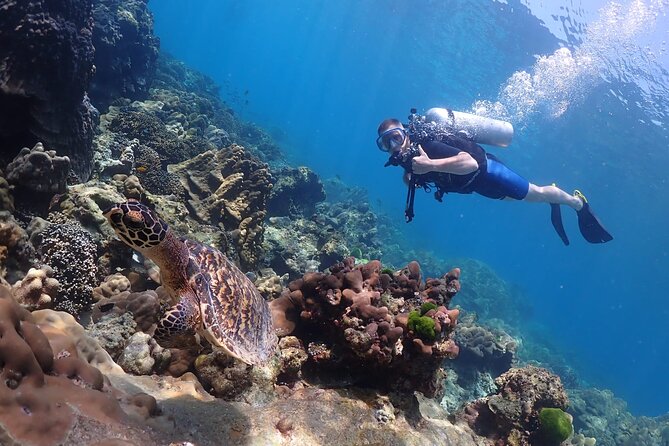 Full-Day Koh Phi Phi Scuba Diving Course From Phuket - Last Words