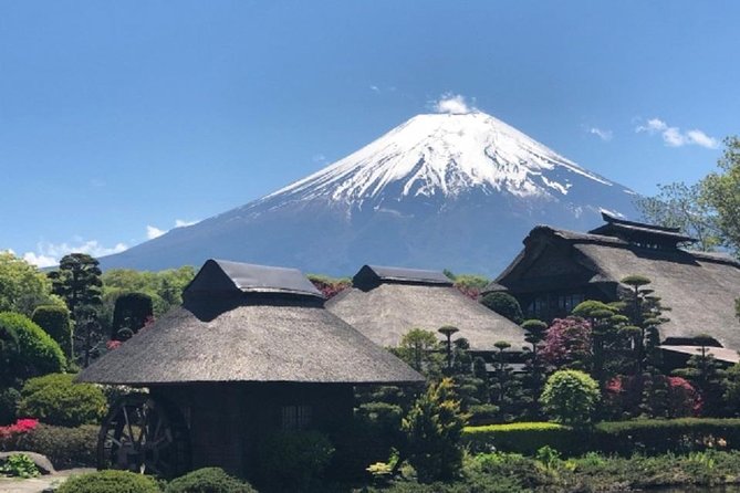 Full Day Mt.Fuji Chartered Taxi Tour - Booking and Pricing Information