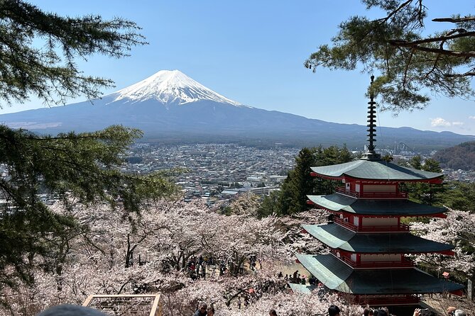 Full Day Mt.Fuji Tour To-And-From Yokohama&Tokyo, up to 12 Guests - Pricing Information